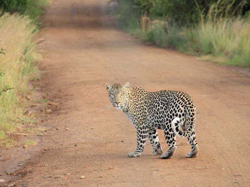 神经浪游者<br>qyo4ufag.cn 脑机接口体验